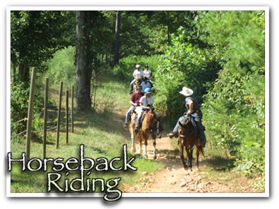 Blue Ridge Horseback Riding