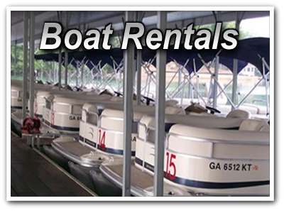 Lake Blue Ridge Boat Rentals